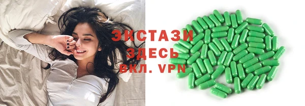 хмурый Аркадак