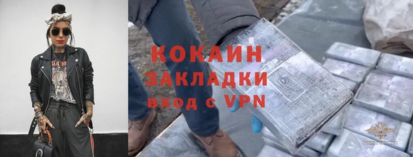 хмурый Аркадак