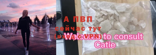 хмурый Аркадак