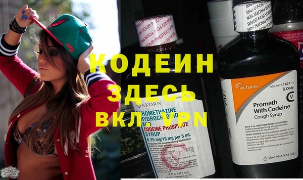 хмурый Аркадак