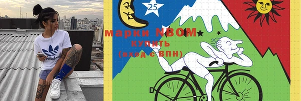 хмурый Аркадак